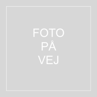 Sune Svane